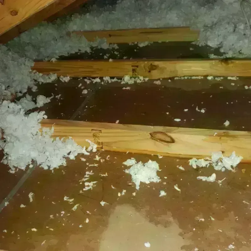 Attic Water Damage in Kingston, OH