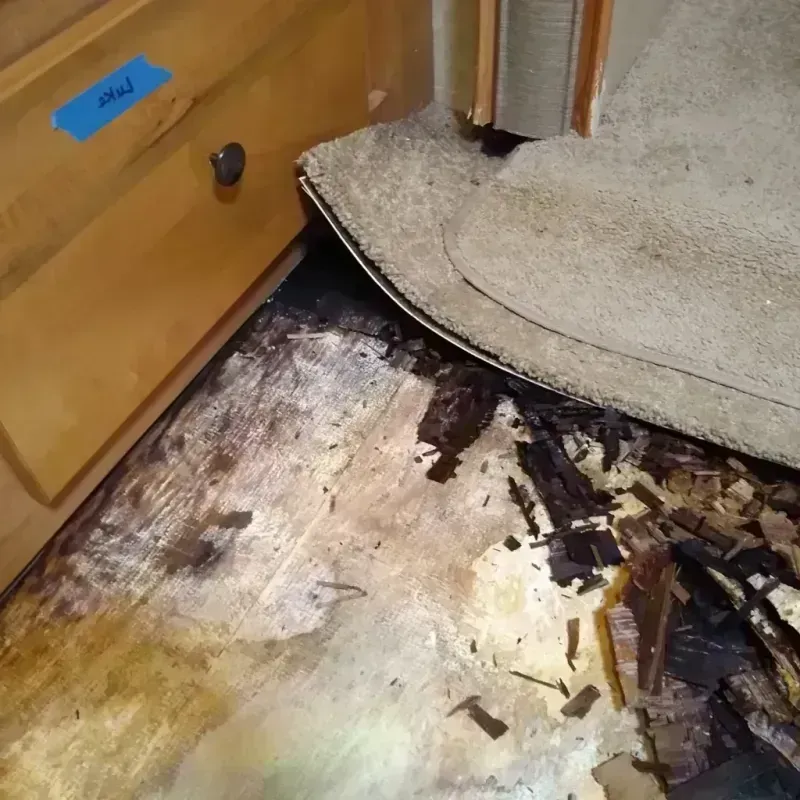 Wood Floor Water Damage in Kingston, OH